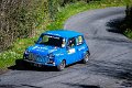 Ronnie_Hawe_Monaghan_Stages_Rally_April_24th_2022-132