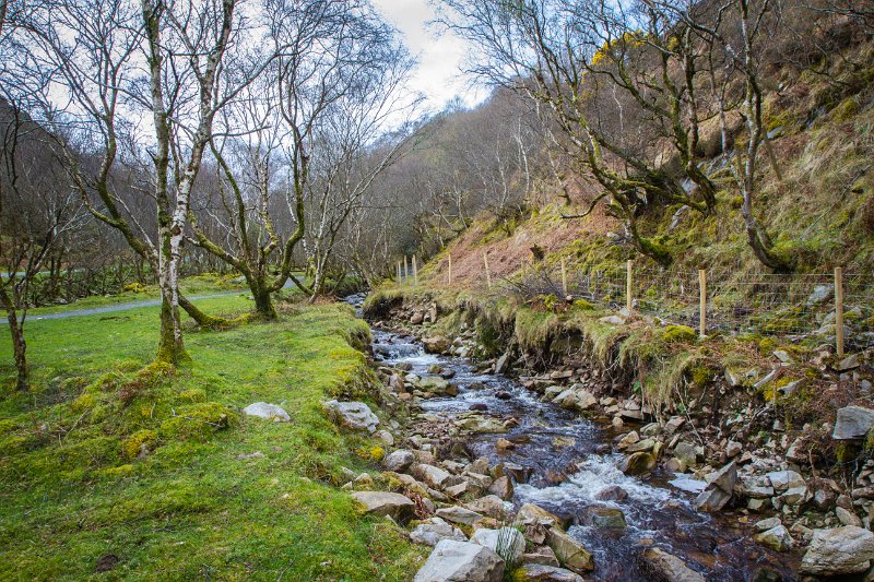 Near Glenevin Waterfall, Co. Donegal.jpg