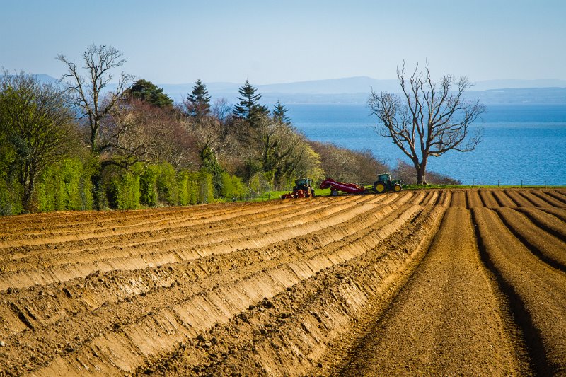 Planting the spuds near Redcastle Co. Donegal.jpg