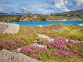 Errigal viewed from Cruit Island, Co. Donegal