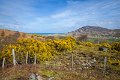 Inishowen Co. Donegal