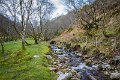 Near Glenevin Waterfall, Co. Donegal