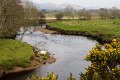Owenea River near Glenties Co. Donegal