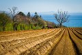 Planting the spuds near Redcastle Co. Donegal