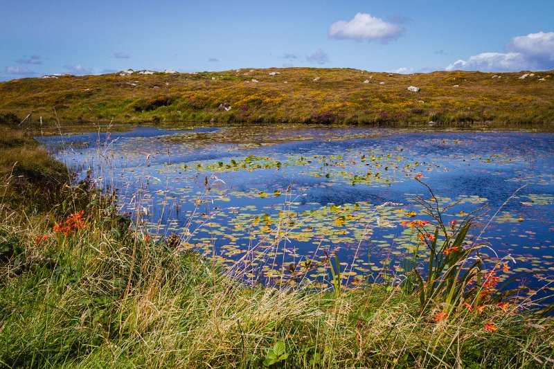 Lake on the Beara Peninsula.jpg