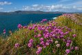 Beside Kilkeehagh, County Kerry