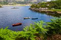 Boats on the Upper Lake Killarney, Co. Kerry