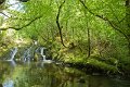 Waterfall in Forest Park near Glengarriff, Co. Cork