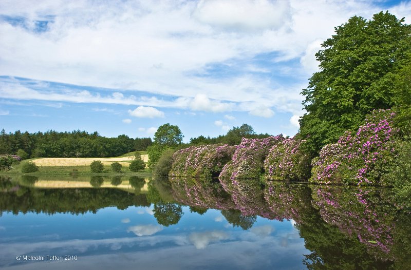 Rossmore Forest Park/13. Rossmore in summer - Cloud reflection